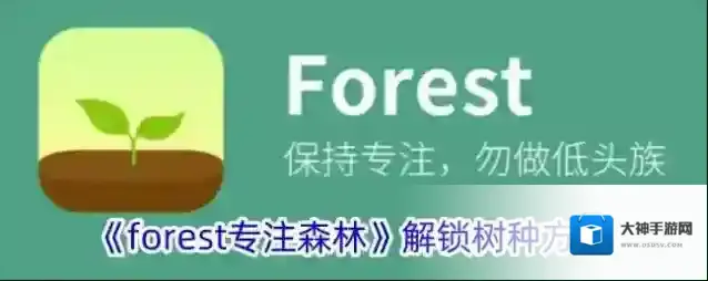 Forest金币