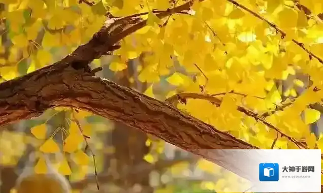 支付宝经济价值