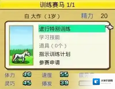 赛马牧场物语赛马有哪些训练方式 赛马全训练方式介绍