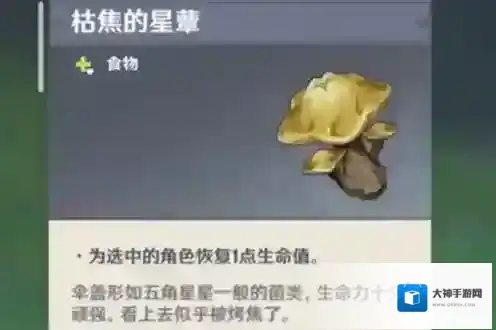 原神官方正版生命