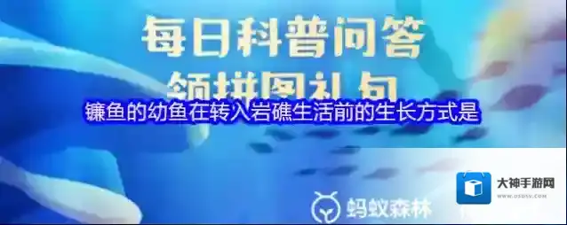 镰鱼的幼鱼在转入岩礁生活前的生长方式是