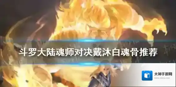 斗罗大陆魂师对决戴沐白魂骨选择 斗罗大陆魂师对决戴沐白魂骨推荐