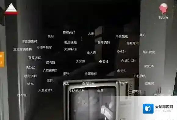 孙美琪疑案王勇孙美琪