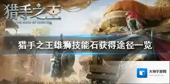 猎手之王技能石