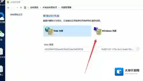 Windows10管理器