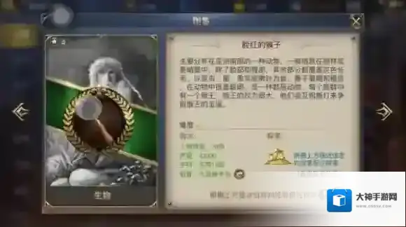 大航海之路卡卡