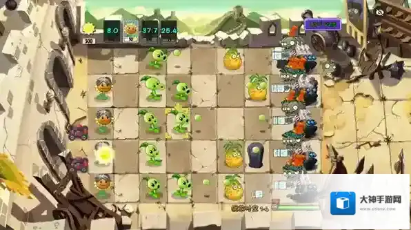 植物大战僵尸绽放时空绽放