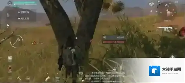 黎明觉醒杜松木获取方法