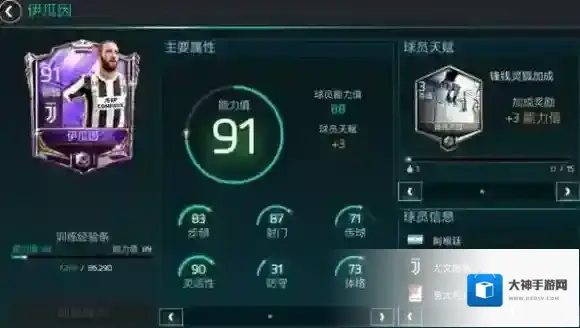 FIFA足球世界国籍