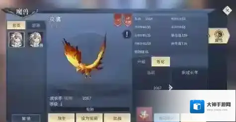 斗破苍穹斗帝之路资质